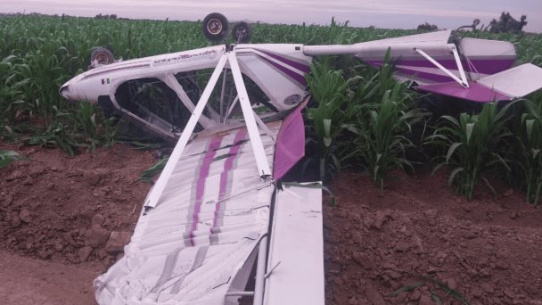 Avioneta se desploma en parcela de maíz y tripulantes huyen del lugar Avioneta se desploma en parcela de maíz y tripulantes huyen del lugar