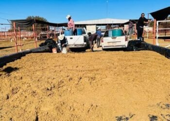 Ganaderos del Valle del Yaqui reciben 24 toneladas de bagazo