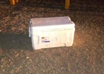 Abandonan 4 cabezas humanas dentro de una hielera