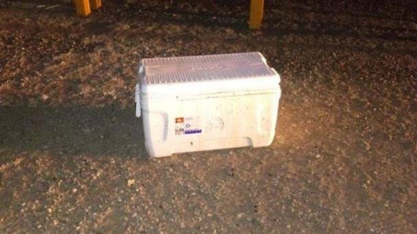 Abandonan 4 cabezas humanas dentro de una hielera Abandonan 4 cabezas humanas dentro de una hielera
