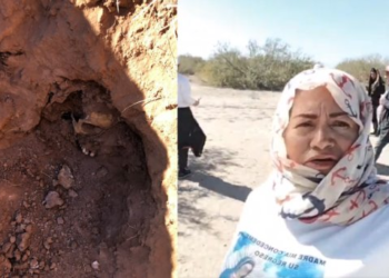 Hasta 50 cuerpos han hallado Madres Buscadoras en El Choyudo