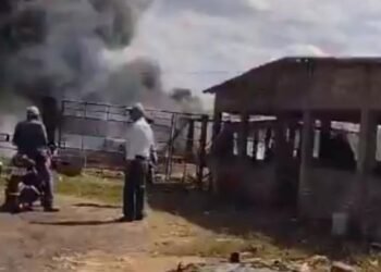 Avioneta se desploma antes de aterrizar en Tepic; hay 4 muertos