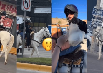 Repartidor de app se vuelve viral por entregar pedidos a caballo