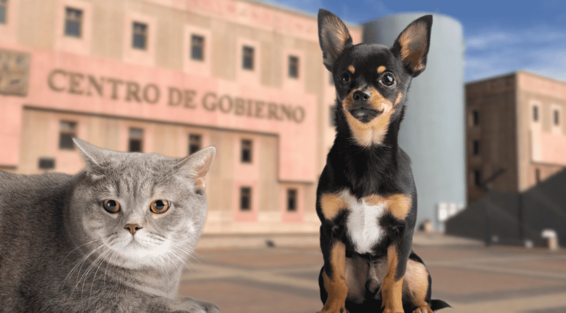 Inicia la Campaña de Vacunación Antirrábica en Drive-Thru para Perros y Gatos