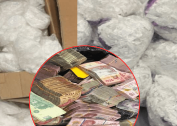 Hermosillo: Aseguran droga, dinero y armas en fraccionamiento Paseo Las Misiones