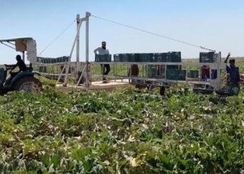 Temperaturas de hasta 0 grados en Guaymas y Empalme afectan los cultivos