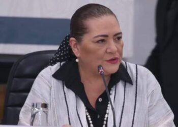 México siempre va a necesitar al INE: Guadalupe Taddei defiende permanencia