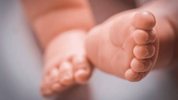 Niñera droga a familia y se roba una bebé recién nacida Niñera droga a familia y se roba una bebé recién nacida