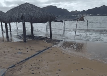 Playas de Sonora se mantienen sin puntos críticos de contaminación