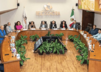 IEE Sonora aprueba 10 candidatos independientes