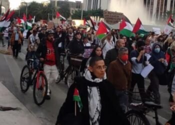Tras cien días de guerra, marchan en CDMX para apoyar a Palestina