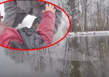 VIDEO: Policía se sumerge en un estanque helado para salvar a una niña de 8 años en Vermont