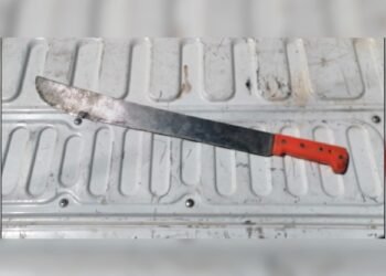 Detenido por amenazar a su hija y hermana con machete en mano