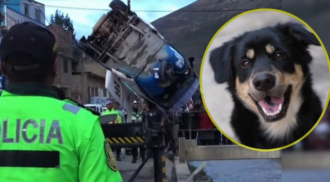 VIDEO: Mototaxi se voltea y cae a río para evitar atropellar a un perrito en Perú