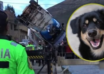 VIDEO: Mototaxi se voltea y cae a río para evitar atropellar a un perrito en Perú