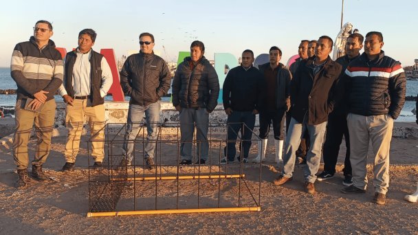 Buzos de Yavaros saldrán en busca del callo de hacha en jaulas protectoras Buzos de Yavaros saldrán en busca del callo de hacha en jaulas protectoras