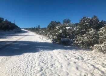 Frío Intenso en Sonora: Precauciones Ante Bajas Temperaturas
