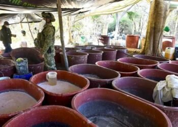Desmantelan en Sonora mega laboratorio de drogas sintéticas