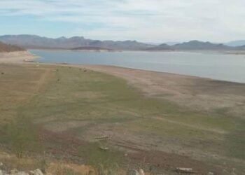 Agricultores del sur de Sonora en jaque por bajos niveles de agua