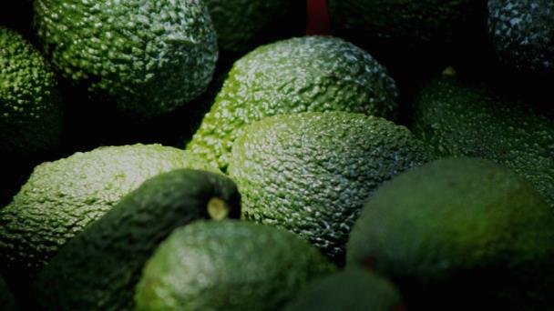 Aguacates de huertas ilegales no se exportarán a EU: Ken Salazar Aguacates de huertas ilegales no se exportarán a EU: Ken Salazar