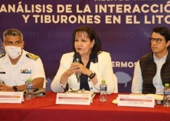 Instalan mesa para analizar interacción entre pescadores y tiburones