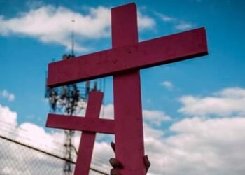 Alarmante cifra: 6 mujeres asesinadas diariamente