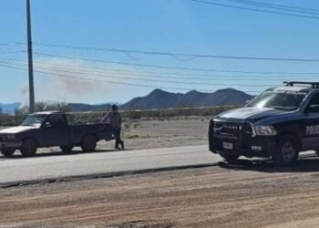 Cuerpos hallados en Caborca-Desemboque, vinculados al crimen