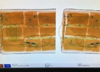 Aseguran en AICM más de 17 kilos de cocaína en dos maletas