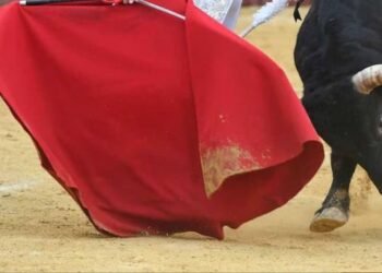 Sonorenses dicen no a corridas de toros; aplauden prohibición