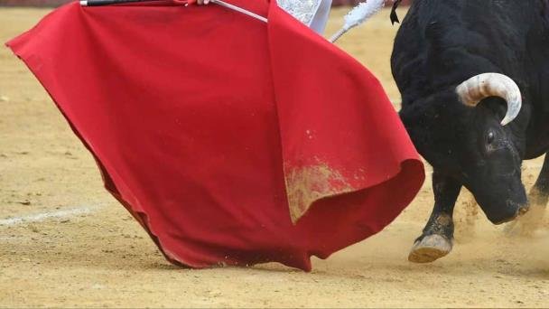 Sonorenses dicen no a corridas de toros; aplauden prohibición Sonorenses dicen no a corridas de toros; aplauden prohibición