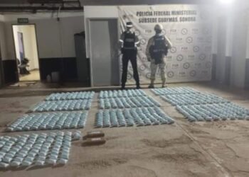 Autoridades decomisan 2 millones de pastillas de fentanilo en Guaymas