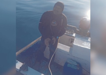Buzo se encuentra con tiburón blanco en Empalme