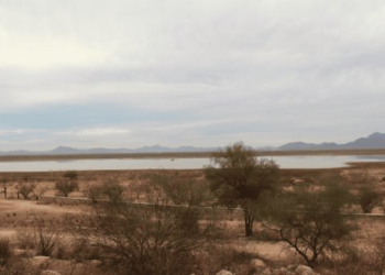 Esperan ligero descenso de temperaturas en Sonora por frente frío 36
