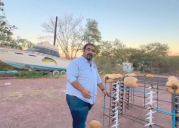 Crean jaula artesanal para proteger a pescadores de tiburones en Guaymas