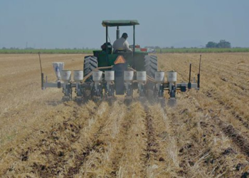 Impulsan en la entidad prácticas agrícolas sustentables: Cimmyt