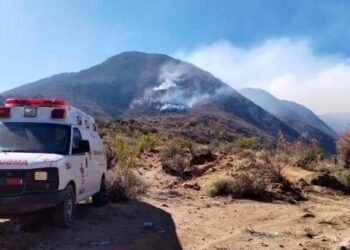 Mueren 5 voluntarios al combatir incendio en Oaxaca