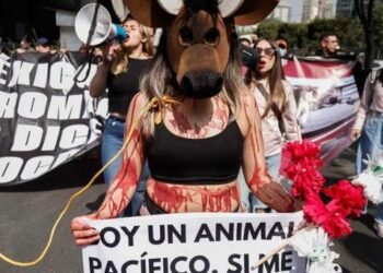 Alistan protesta en Plaza México contra corridas de toros