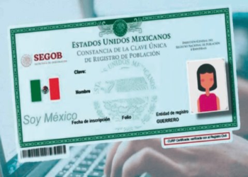 Usuarios reportan fallas en búsqueda y descarga de CURP