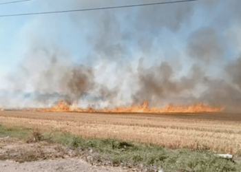 Se reduce 18.89% incendios por quemas agropecuarias en México