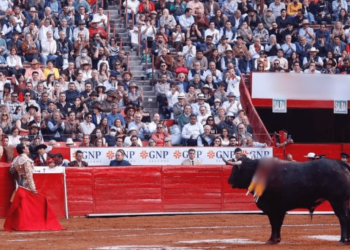 Tribunal revoca suspensión provisional a corridas de toros en Plaza México