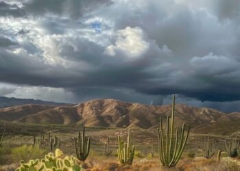 ¡El invierno no se rinde! Sonora se congela con nevadas, lluvias y heladas