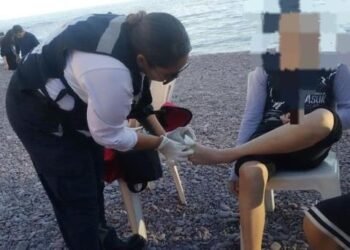 Atienden picaduras de mantarraya y ‘aguamala’ en playas al sur de Sonora
