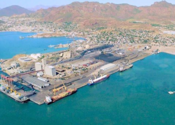 Crece puerto de Guaymas en transporte de mercancía durante enero de 2024