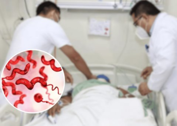 Cuatro muertos por brote de bacteria asociada al síndrome de Guillain Barré