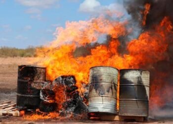 Destruyen más de 100 kilogramos de narcóticos: FGR en Sonora