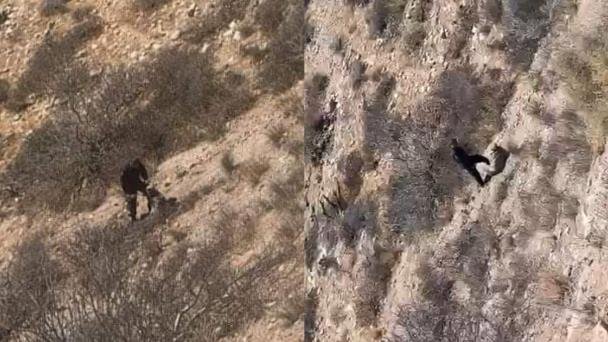 Hombre cae del mirador escénico de San Carlos y termina en el hospital Hombre cae del mirador escénico de San Carlos y termina en el hospital