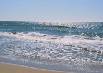Alertan por presencia masiva de mantarrayas en playa Huatabampito
