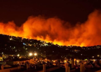 Incendios forestales arrasan en Veracruz; cinco incidentes en últimas horas