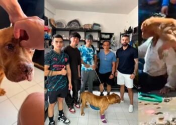 Rescatan a mascota de la mujer linchada por el feminicidio de Camila