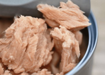 Estas son las mejores marcas de atún enlatado que no contiene soya: Profeco